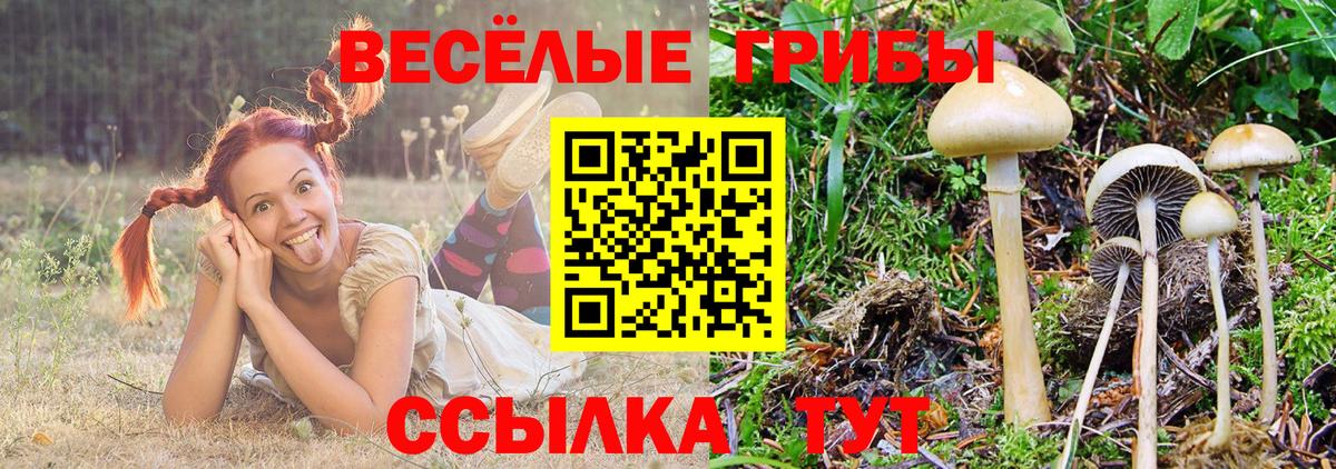 Псилоцибиновые грибы прущие грибы  Вход с VPN  Кудрово  Галлюциногенные грибы мухоморы 