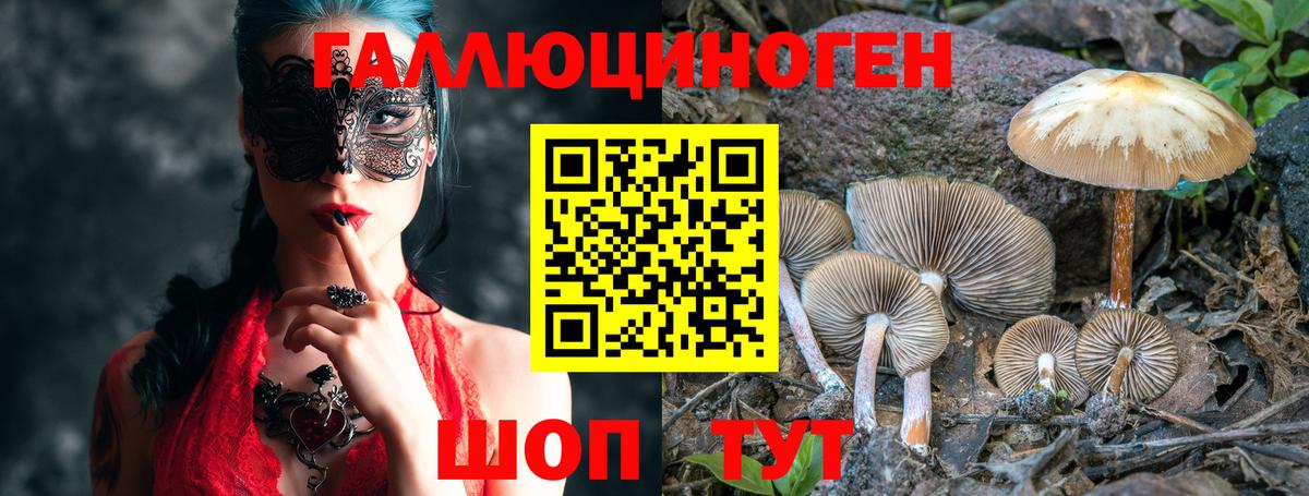 Галлюциногенные грибы мицелий Кудрово